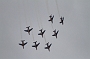 149 Patrouille de France